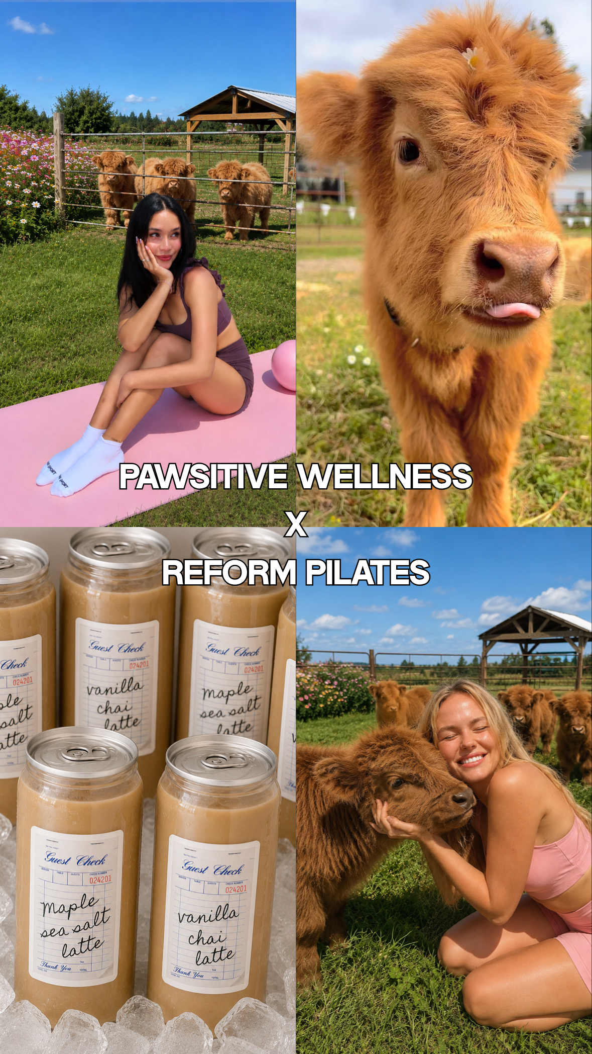 Pilates with Highland Cows ★One Weekend Only★